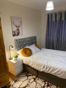 sypialnia z łóżkiem z poduszką w obiekcie 2 Bedroom Flat Available To Let w mieście Abbey Wood