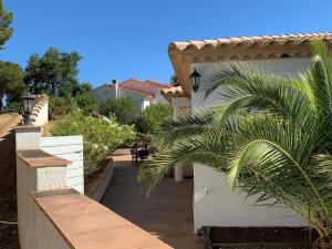 カロンジェにあるBelvilla by OYO Vista Bonitaの塀と椰子の木のある家