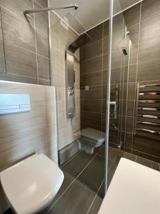 La salle de bains est pourvue d'une douche et de toilettes. dans l'établissement Apartmán Roda2 Malé Lipno, à Černá v Pošumaví