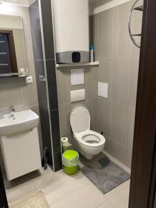 La petite salle de bains est pourvue de toilettes et d'un lavabo. dans l'établissement Apartmán Podhájska, à Podhájska