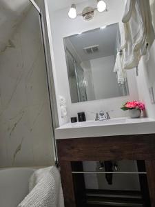 a bathroom with a sink and a mirror at Sunflower Guest Suites in Summerside