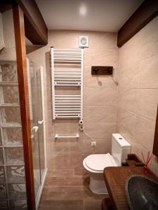 een kleine badkamer met een toilet en een douche bij La Casina de la Yeye San Cristóbal de Valdueza in San Cristóbal de Valdueza