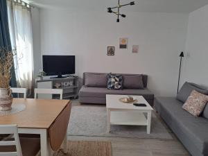 een woonkamer met een bank en een tv bij Enjoy traveling in Tuzla