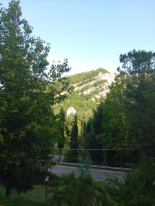 a view of a mountain with a road and trees at B&B BORGORI' in Rivola