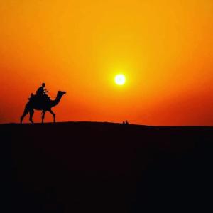 a man riding a camel in front of a sunset at Raj Safari Resort in Sām