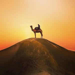 a person riding a camel on top of a hill at Raj Safari Resort in Sām