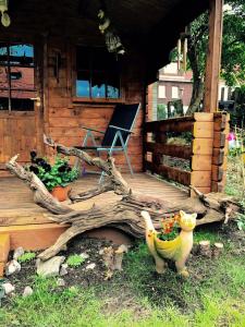 Zahrada ubytování Ferienwohnung-Willgeroth
