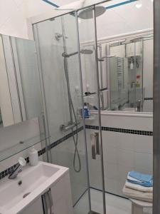 een badkamer met een douche en een wastafel bij joli studio T2 meublé de 20 m² Située à 2 minutes à pied du MÉTRO in Marseille