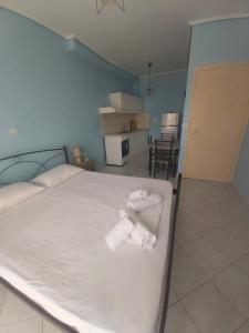 Η κουζίνα ή μικρή κουζίνα στο Johanna Apartment 3 +6 φωτογραφίες