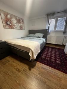 SošiceApartment Radić 1的一间卧室配有一张床和红色地毯