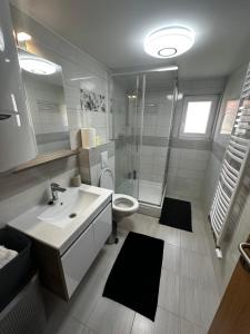 a bathroom with a sink and a toilet and a shower at Apartment Radić 1 