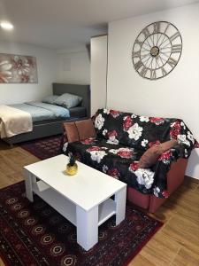SošiceApartment Radić 1的带沙发和咖啡桌的客厅