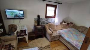 ein Wohnzimmer mit einem Sofa und einem TV in der Unterkunft Curovac Nature in Ilidža
