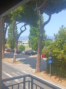a view of a street with trees and a parking lot at appartamento vale in Viareggio