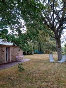 dwa krzesła i drzewo na podwórku w obiekcie La petite maison à la campagne / our little house w mieście La Chapelle-Launay