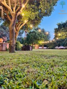 un árbol en medio de un campo con luces en Villetta Capodimonte en Nápoles