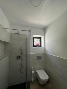 e bagno con doccia, servizi igienici e finestra. di Casa El Guinche a Fuencaliente de la Palma