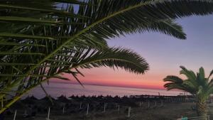 een zonsondergang op het strand met een palmboom bij Ionian Dream Home in Vráchos