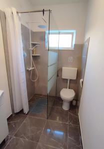 a bathroom with a toilet and a glass shower at Silvermoon Apartment in Kostrena
