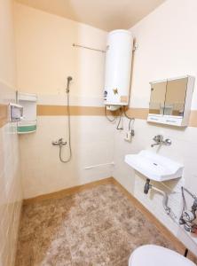 a bathroom with a toilet and a sink at Студио апартамент Троян in Troyan