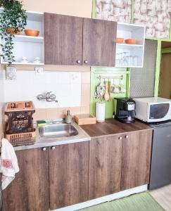 Η κουζίνα ή μικρή κουζίνα στο Студио апартамент Троян
