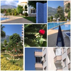 a collage of pictures of a building and a pool at Panorama Family Appartement in Mahmutlar