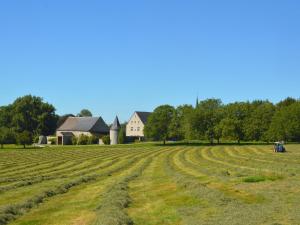 a field of crops with a house in the background at Cozy Holiday Home in Somme-Leuze with Private Garden in Noiseux