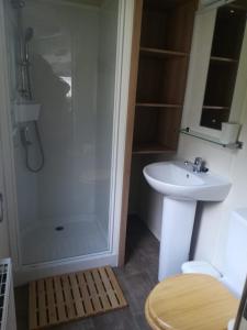 a bathroom with a shower and a sink and a toilet at Del's den lakeside weeley bridge 2bedroom in Weeley