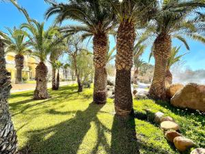 a group of palm trees in a park at Beachfront apartment in Roquetas de Mar with communal pool in Roquetas de Mar