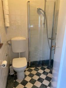 La salle de bains est pourvue d'une douche et de toilettes. dans l'établissement Apartma Kresnička, à Kobarid