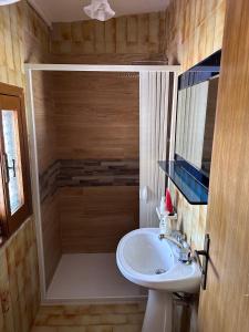 un piccolo bagno con lavandino e doccia di Piccola Dimora Villa Candido a Stilo