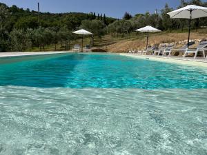 una grande piscina con sedie e ombrelloni di Agriturismo Il Mulino delle canutole a Magione