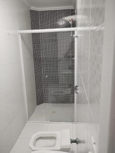 uma casa de banho com um chuveiro e um WC. em Hotel Real Centro em São Paulo