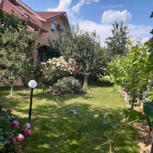 un jardin avec des arbres fleuris et une maison dans l'établissement Злоторія, à Moukatcheve