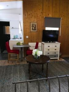 Studio with free parking Nice terrace Free WiFi connection في جنيف: غرفة معيشة مع تلفزيون وطاولة مع زهور