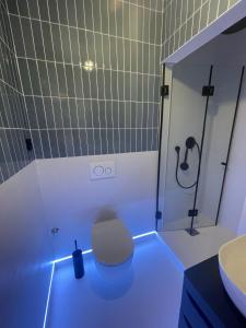 a bathroom with a toilet and a sink and a shower at Zadar Enjoy Apartment in Zadar