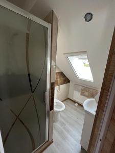 a bathroom with a shower and a toilet at SUNNY Apartman in Štúrovo