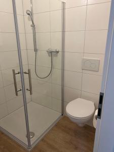 ein Bad mit einer Dusche und einem WC in der Unterkunft Boardinghouse Rheinfelden 2 in Rheinfelden