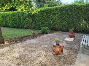 un jardín con un banco y un tronco de árbol y plantas en Superbe appartement, en Saint-Hilaire-du-Rosier