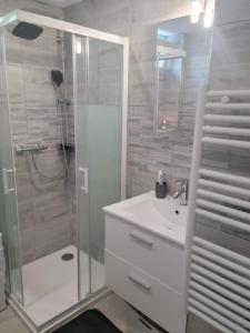 y baño con ducha, lavabo y aseo. en Superbe appartement, en Saint-Hilaire-du-Rosier