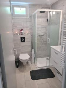 e bagno con doccia, servizi igienici e lavandino. di Superbe appartement a Saint-Hilaire-du-Rosier