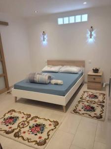1 dormitorio con 1 cama y 2 alfombras en el suelo en Superbe appartement, en Saint-Hilaire-du-Rosier