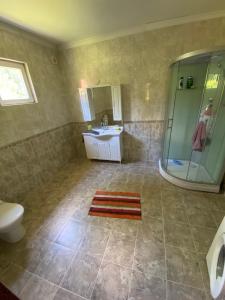 uma casa de banho com um chuveiro, um lavatório e um WC. em Frutak Villa Resort em Bogićevići
