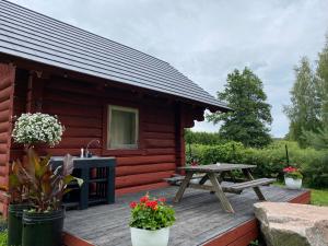 a log cabin with a picnic table and a picnic bench at Akmens sala in Vecpiebalga