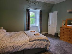 ein Schlafzimmer mit einem Bett mit zwei Teddybären darauf in der Unterkunft 16 Northcote Street, Wick in Wick