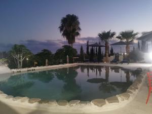 - une grande piscine avec des palmiers la nuit dans l'établissement Villa Spilies, à Peyia