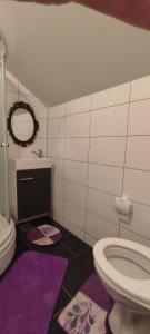 a bathroom with a toilet and a sink at Melissa 1Apartman in Rakovica