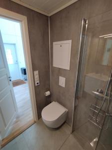 a bathroom with a toilet and a shower at Guesthouse with terrace in Arendal