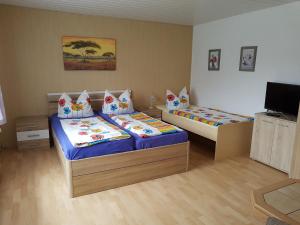 a bedroom with two beds and a tv in it at 1-Zi Fewo Rankwitz,Usedom in Rankwitz
