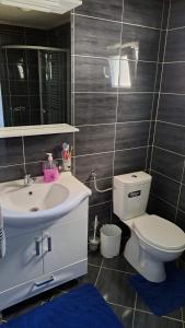 Ένα μπάνιο στο Apartman Natasa